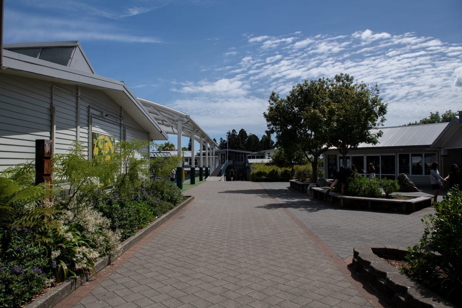 Enrolments - Ōtūmoetai Intermediate School